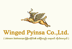 Winged Pyinsa Company